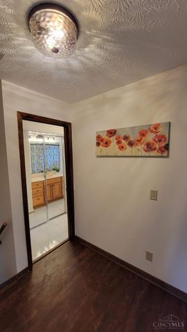 646 Lorelei Drive, Fayetteville, OH 45118