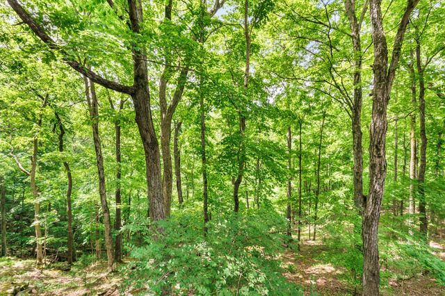 460 Seven Springs Rd, Clarksville, TN 37043