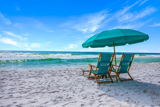 164 Blue Lupine Way UNIT 221, Santa Rosa Beach, FL 32459