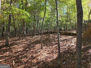 LOT #385 Zenith Trail 385, Ellijay, GA 30540