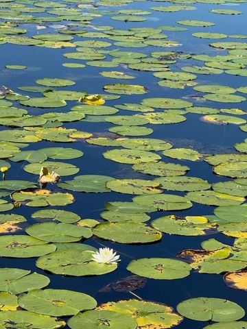 2814 W HUMPHREY STREET, Tampa, FL 33614