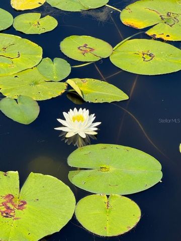 2814 W HUMPHREY STREET, Tampa, FL 33614