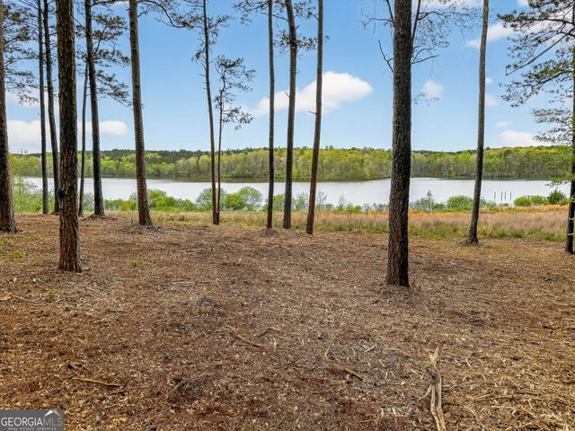 3181 Peeksville Road, Locust Grove, GA 30248