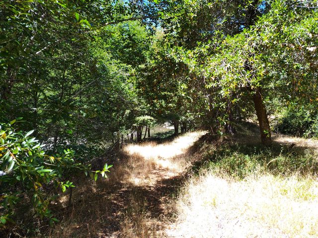 3900 Hansen Ranch Road, Piercy, CA 95587