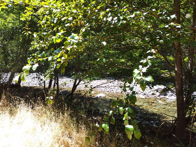 3900 Hansen Ranch Road, Piercy, CA 95587