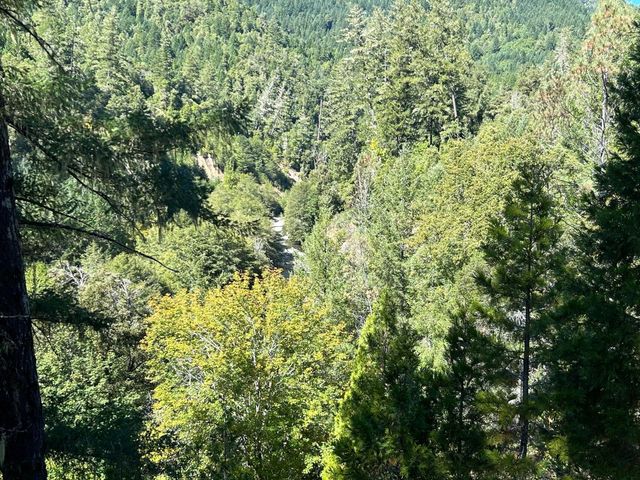 3900 Hansen Ranch Road, Piercy, CA 95587