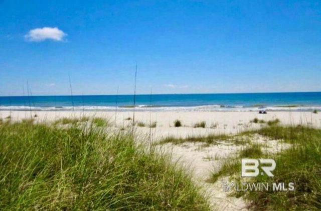 6925 Driftwood Drive, Gulf Shores, AL 36542