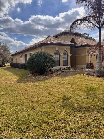9512 SERRA COURT, Howey In The Hills, FL 34737