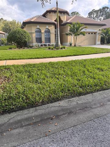 9512 SERRA COURT, Howey In The Hills, FL 34737