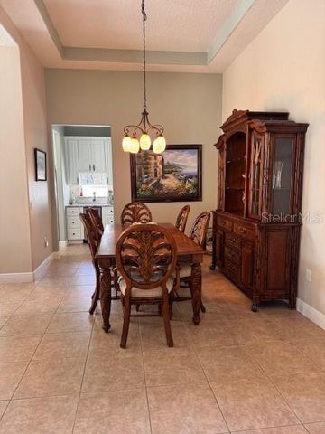 9512 SERRA COURT, Howey In The Hills, FL 34737