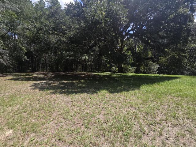 175 Magnolia Lane SE, Ludowici, GA 31316