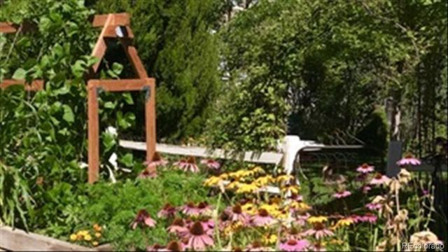 4329 Springmeadow Circle, Castle Rock, CO 80109