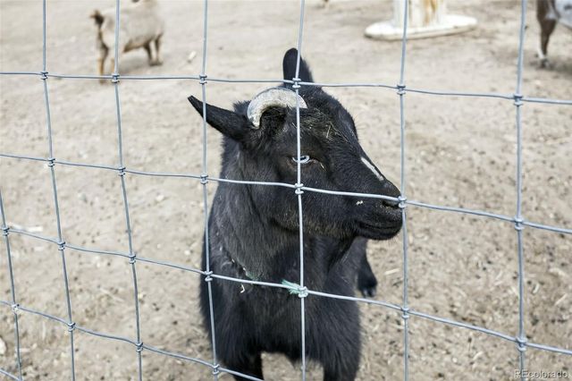 14804 County Road 7, Mead, CO 80542