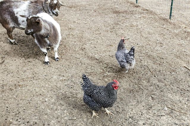 14804 County Road 7, Mead, CO 80542