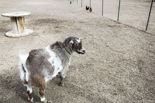 14804 County Road 7, Mead, CO 80542