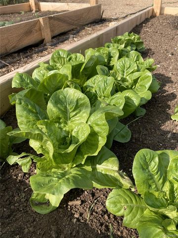 14804 County Road 7, Mead, CO 80542