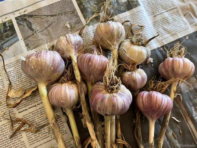 14804 County Road 7, Mead, CO 80542