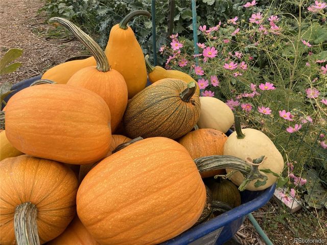 14804 County Road 7, Mead, CO 80542