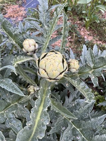 14804 County Road 7, Mead, CO 80542