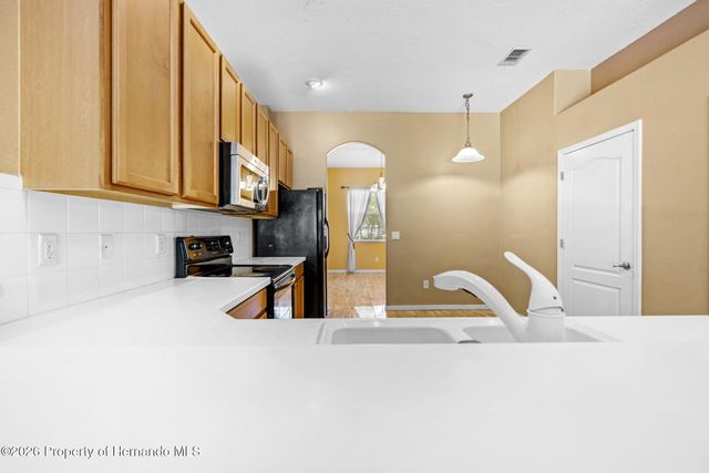 4211 Blakemore Place, Spring Hill, FL 34609