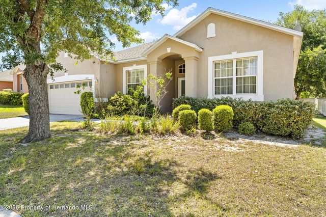 4211 Blakemore Place, Spring Hill, FL 34609