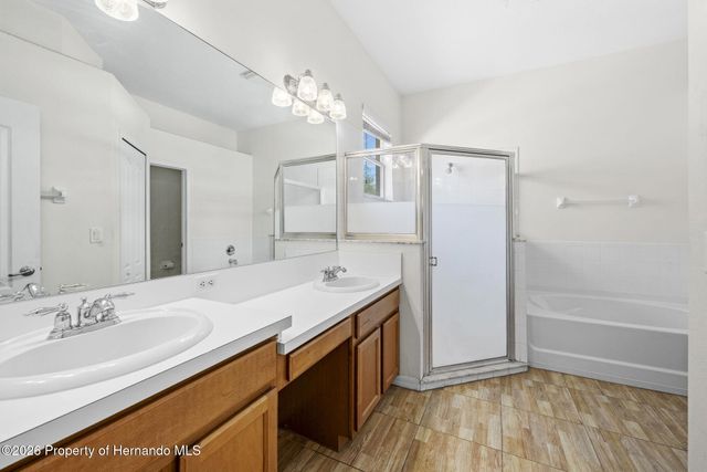 4211 Blakemore Place, Spring Hill, FL 34609