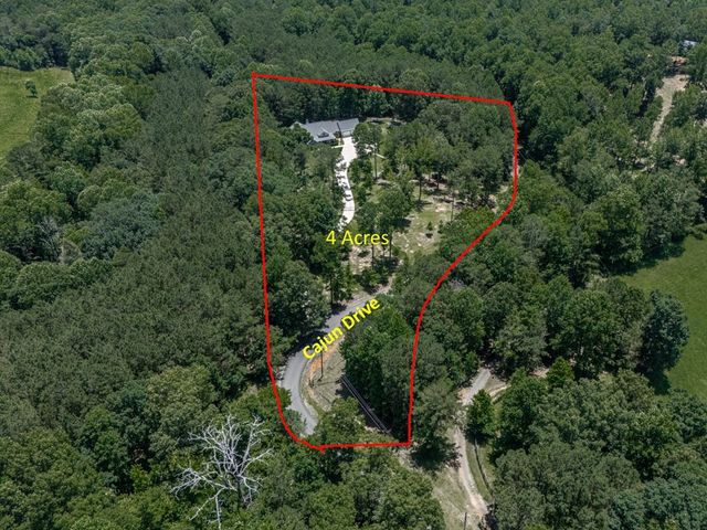 430 Cajun Drive, Ellijay, GA 30540