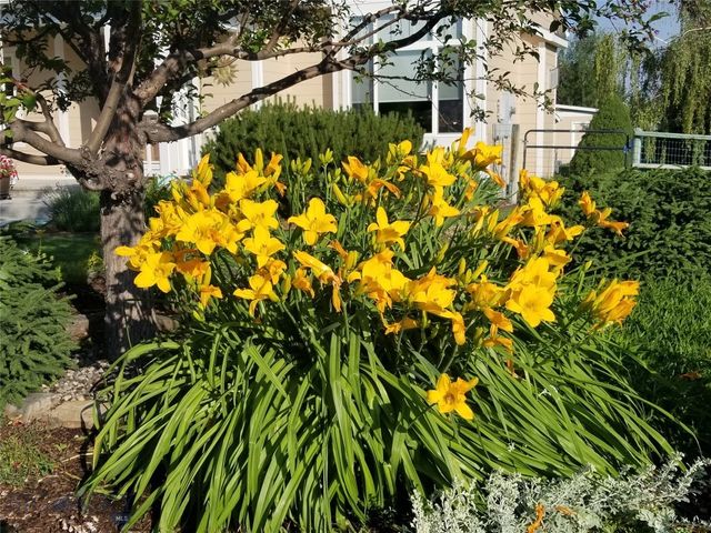 153 Pathfinder Trail, Bozeman, MT 59718