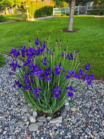 153 Pathfinder Trail, Bozeman, MT 59718