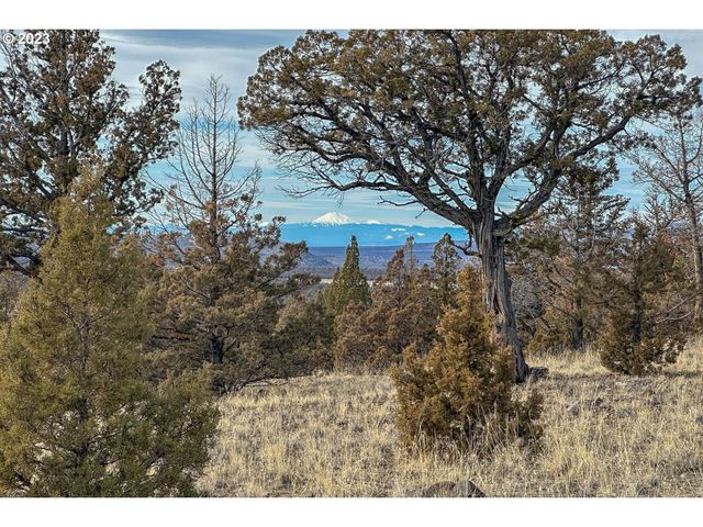 12229 Se ROWAN Ct 4, Prineville, OR 97754