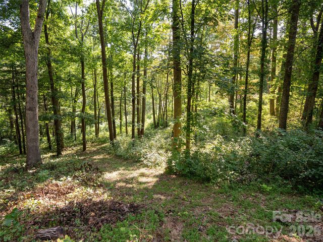 19 Keeping Kyle Crossing, Asheville, NC 28804