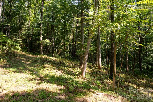 19 Keeping Kyle Crossing, Asheville, NC 28804