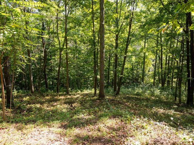 19 Keeping Kyle Crossing, Asheville, NC 28804