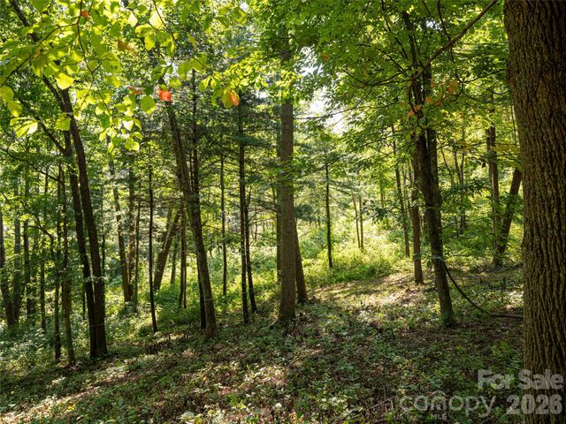 19 Keeping Kyle Crossing, Asheville, NC 28804