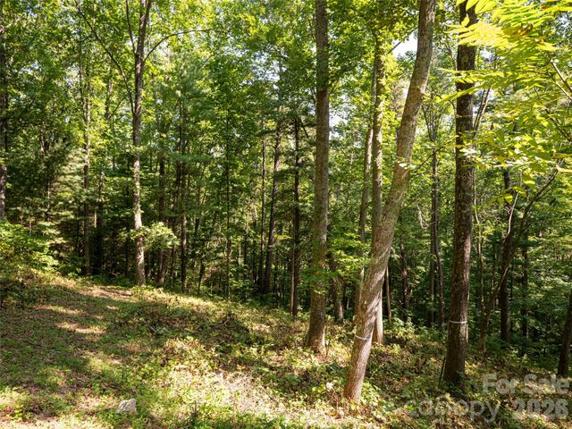 19 Keeping Kyle Crossing, Asheville, NC 28804