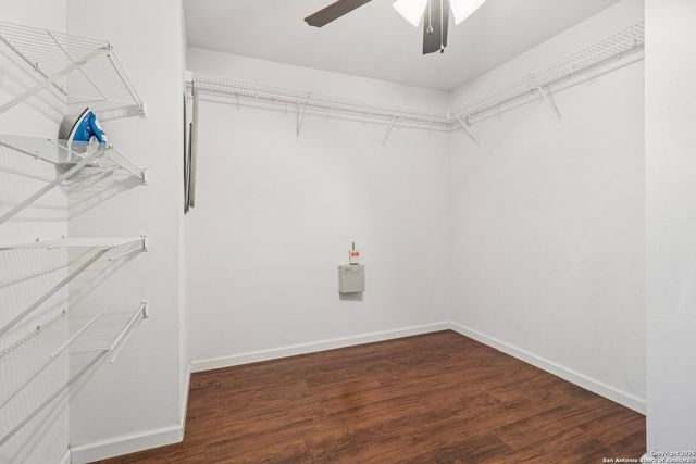 12639 Mexican Plum, San Antonio, TX 78253