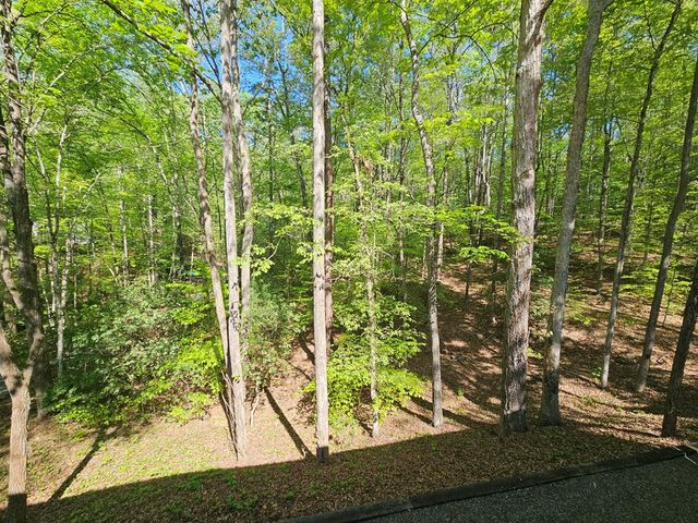 421 Sleepy Hollow Drive, Murphy, NC 28906