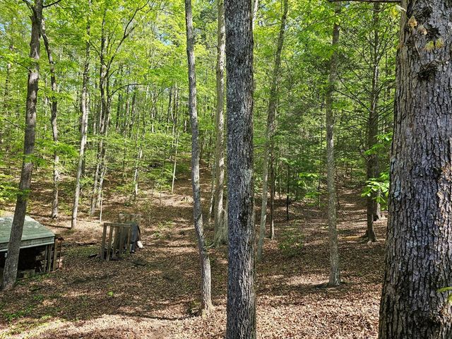 421 Sleepy Hollow Drive, Murphy, NC 28906