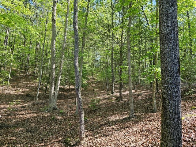 421 Sleepy Hollow Drive, Murphy, NC 28906