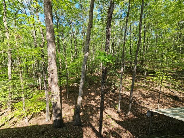 421 Sleepy Hollow Drive, Murphy, NC 28906