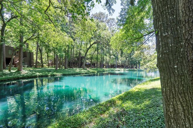 161 Litchfield Lane, Houston, TX 77024