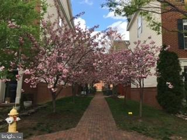 4925 WAPLE LN, Alexandria, VA 22304