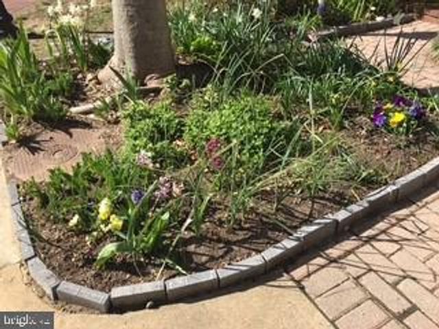 4925 WAPLE LN, Alexandria, VA 22304