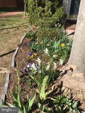 4925 WAPLE LN, Alexandria, VA 22304