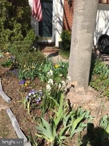 4925 WAPLE LN, Alexandria, VA 22304