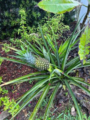 2374 SW Chateau Terrace, Port St. Lucie, Port St Lucie, FL 34953