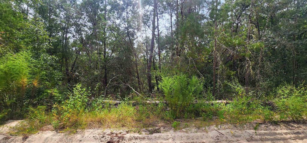 109 Locevan Ln, Florahome, FL 32140