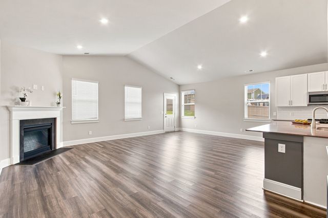 917 Sassafras Ct, Spring Hill, TN 37174