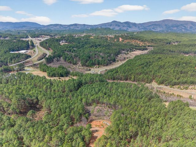 5333 U.S. 64, Lot 5, Copperhill, TN 37317