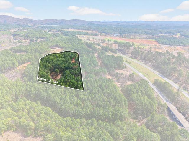 5333 U.S. 64, Lot 5, Copperhill, TN 37317